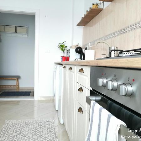 Cozy Apartment Narciselor Suceava Ipotesti  المظهر الخارجي الصورة