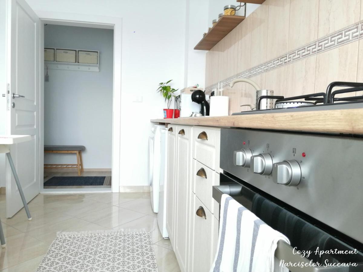 Cozy Apartment Narciselor Suceava Ipotesti  المظهر الخارجي الصورة