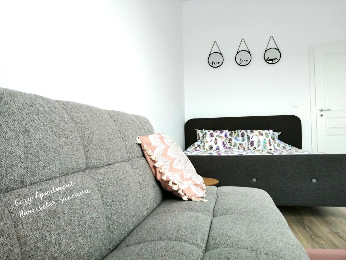 Cozy Apartment Narciselor Suceava Ipotesti  المظهر الخارجي الصورة