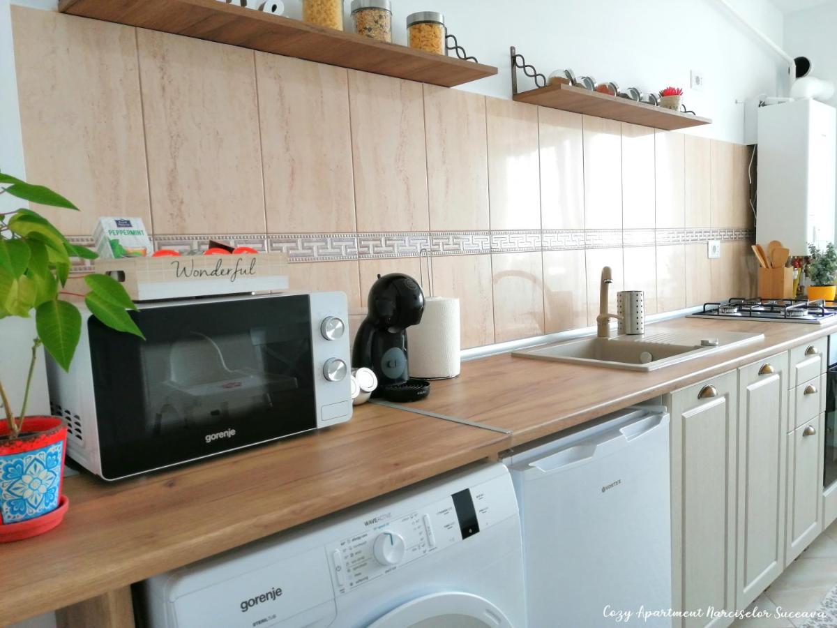 Cozy Apartment Narciselor Suceava Ipotesti  المظهر الخارجي الصورة