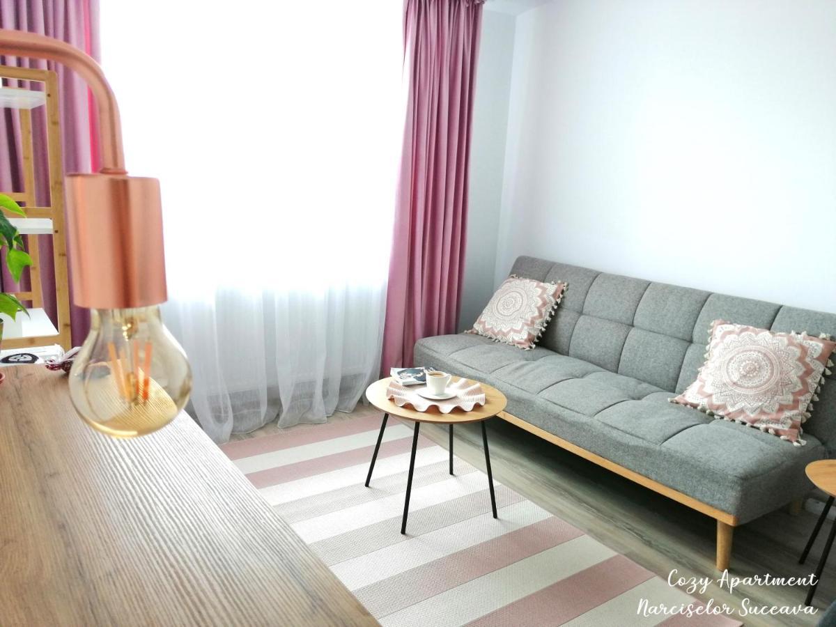 Cozy Apartment Narciselor Suceava Ipotesti  المظهر الخارجي الصورة