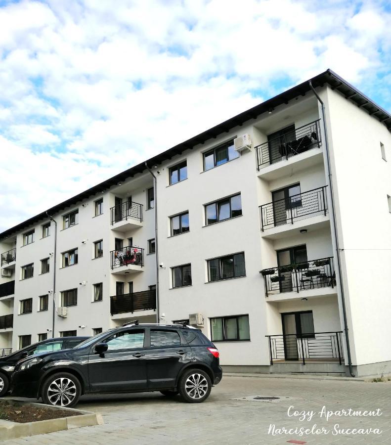 Cozy Apartment Narciselor Suceava Ipotesti  المظهر الخارجي الصورة